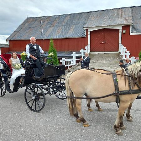 Hotell Eikerapen Gjestegard Aseral Fossdal Eksteriør billede