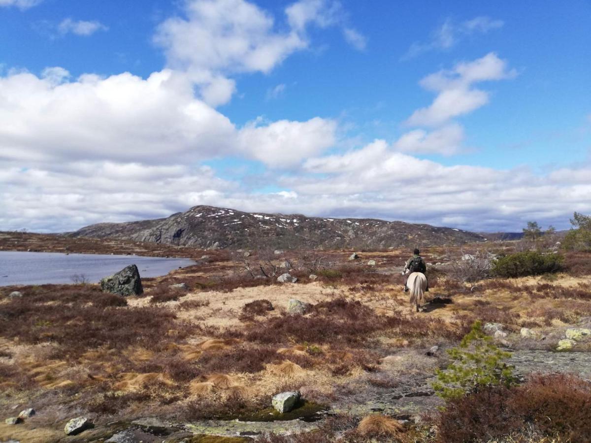 Hotell Eikerapen Gjestegard Aseral Fossdal Eksteriør billede