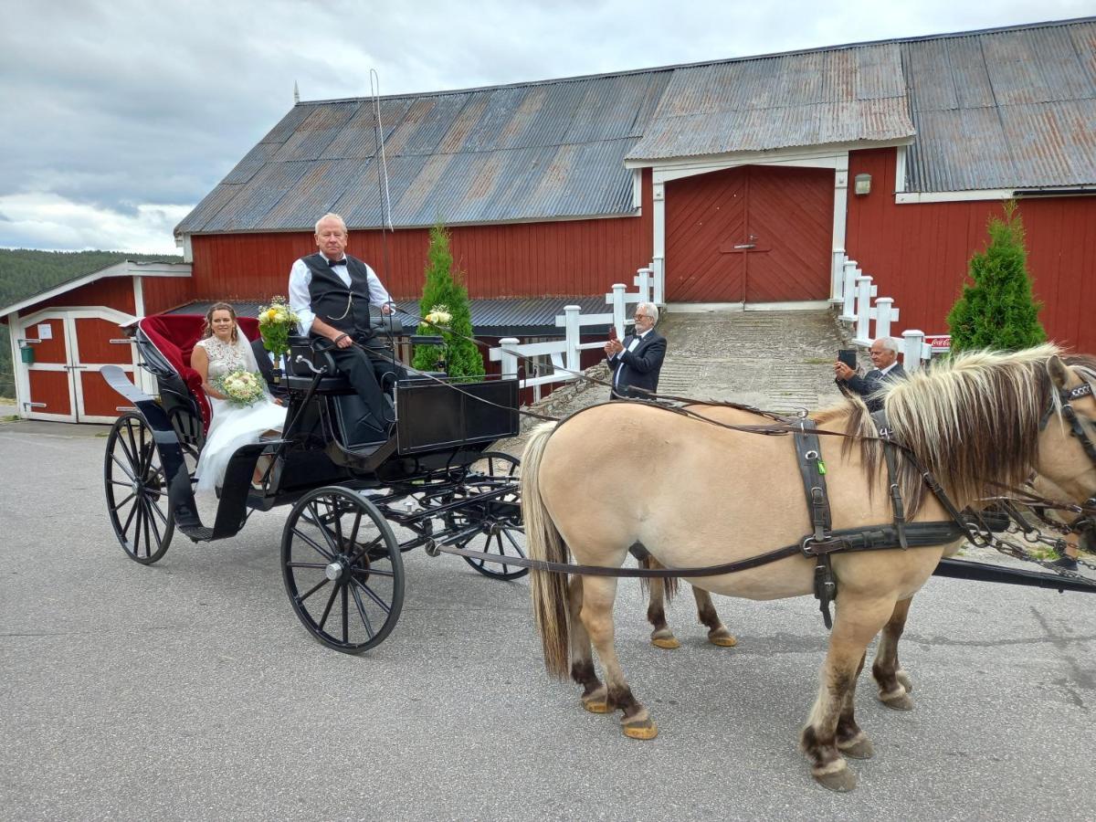 Hotell Eikerapen Gjestegard Aseral Fossdal Eksteriør billede