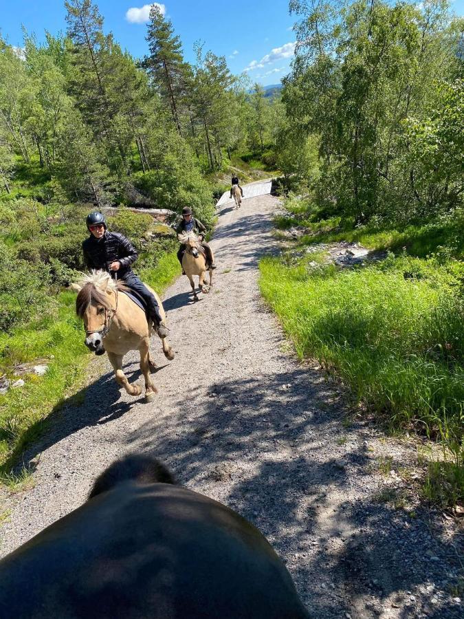 Hotell Eikerapen Gjestegard Aseral Fossdal Eksteriør billede